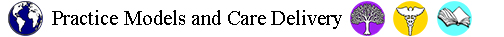 Practice Models and Care Delivery icon